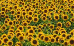 Ranking guys my friends find attractive