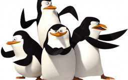 Birds Fighting Skills