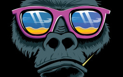 blox fruits trade tier list