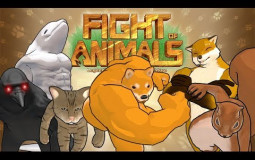 fight of animals