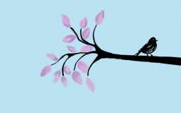 bbboooooooooookkkkkkks