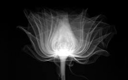 Minecraft Mob Smash Or Pass