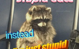 Some questionable simp list