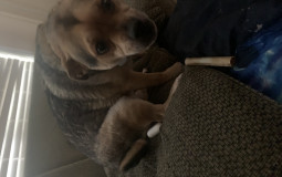 Squid tier list 🦑