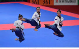 Recognized Poomsae