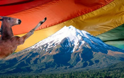 Sensualidad de los Potros Homosexuales de las Montañas