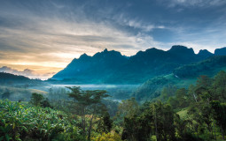 Thot I Was Feelin You