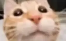 tierlist and dead groovy