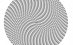 World Cup Player Names