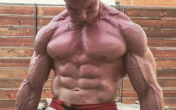 Muskelaufbau Übungen