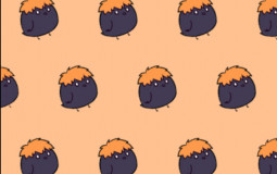 Haikyuu boys