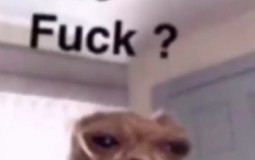 Tierlist de mes stars