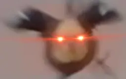 Flo's Aussie Food Tier List