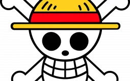 One Piece Perso