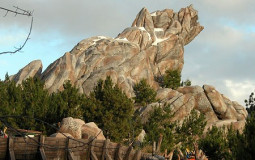 Disney Parks
