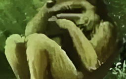 rivals of aether power tiers