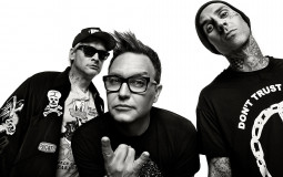 Blink 182 Albums