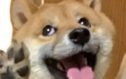 uiuiui