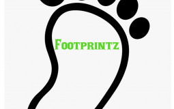 Top 15 2024 players NJ