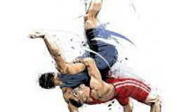 Tier list artes marciales y deportes de contacto