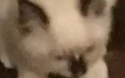 most barbie movies lmao