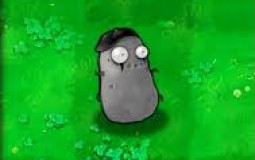 PvZ