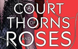 Meine angefangenen Fantasy-Reihen