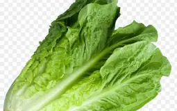 ROGUE LINEAGE CLASS TIER LIST (LOOKS)