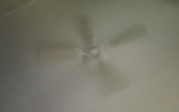 worst thing s of all time