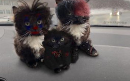 Маи Элпешки