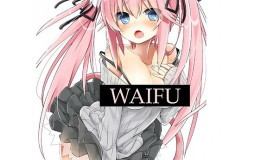 Waifus