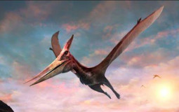 Dinosaur