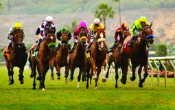 Hot races