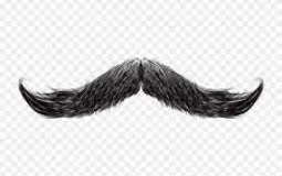 skin color tier list