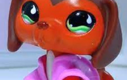 LPS Popular Characters