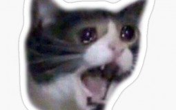 noo's camp ocs tier list