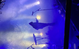 colors id dye my hair