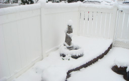 Biggest Simps in the Discord