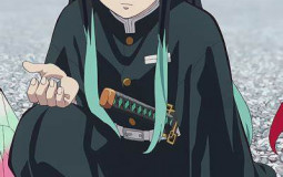 Demon slayer hashira