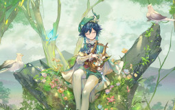 Genshin character opinion