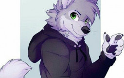 furry tier list