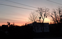 nauczyciele dla nas essa