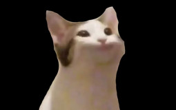 StarClan's Refuge High Rank Tier List