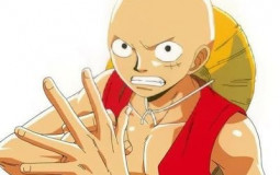 One piece rpg