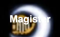 How strange it is for a character to say their class in RP