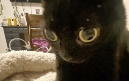 masons anime tierlist