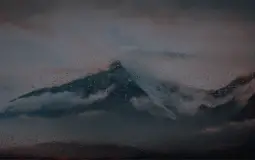 gjfjf