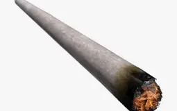 Most Fuckable Stoners