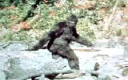 Bigfoot Evidence