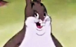 Animated Bunny Ranking